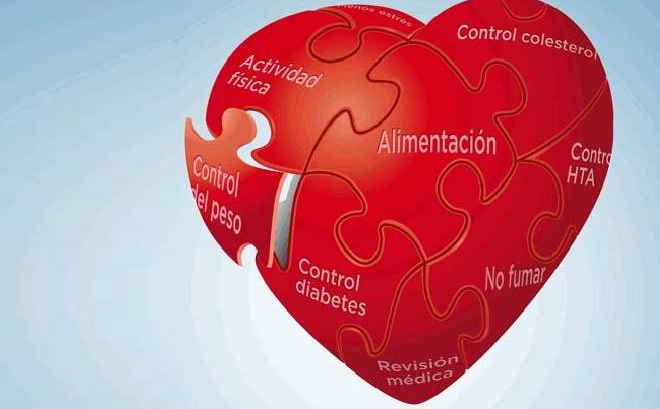 Factores de riesgo cardiovascular modificables: Grado de adiposidad, diabetes y estrés