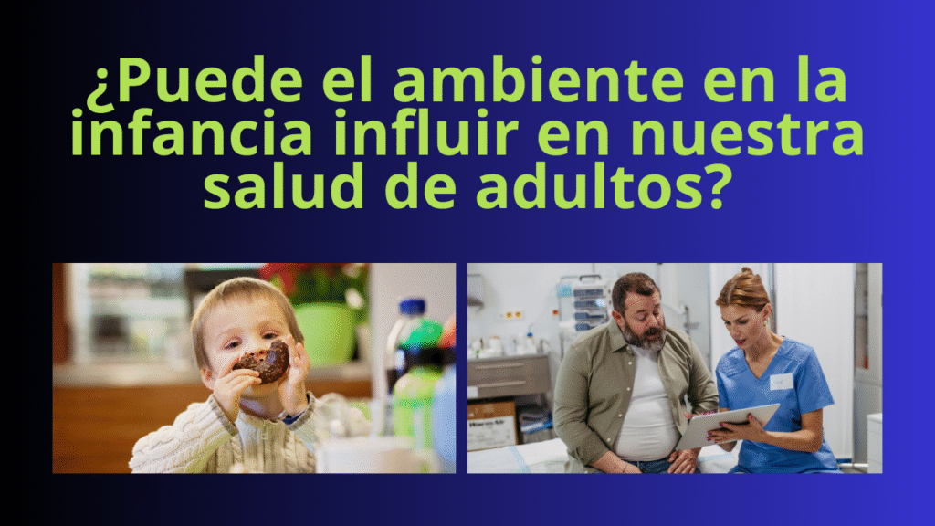 Influencia del ambiente temprano en la salud futura.