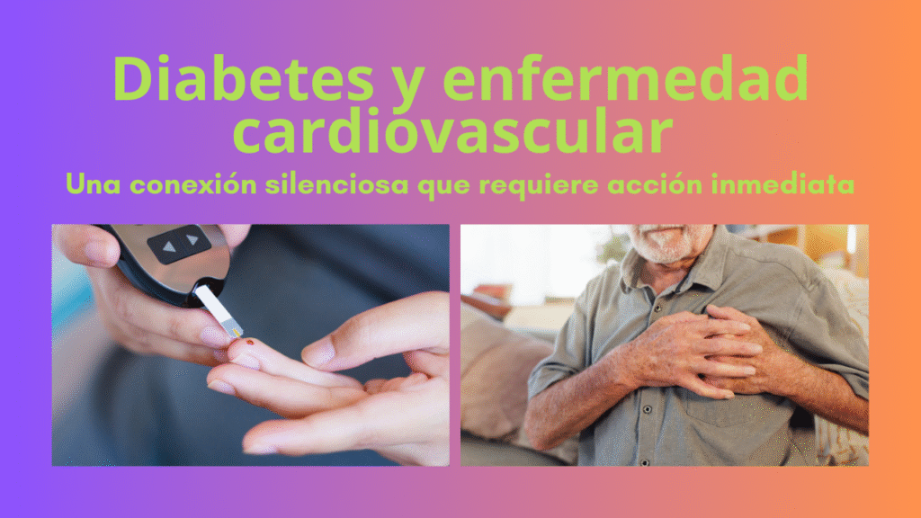 La conexión entre la diabetes y las enfermedades cardiovasculares.