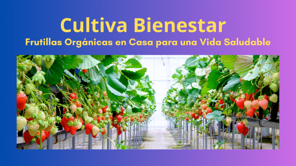 Frutillas frescas cultivadas en casa: sabor y salud al alcance de tu mano.